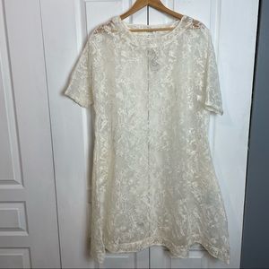 Sheer Embroidered Dress